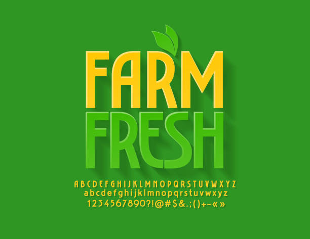 Vector green emblem Farm Fresh with decorative leaves. Bright Alphabet Letters, Numbers and Symbols Flat modern Font organic logo stock illustrations