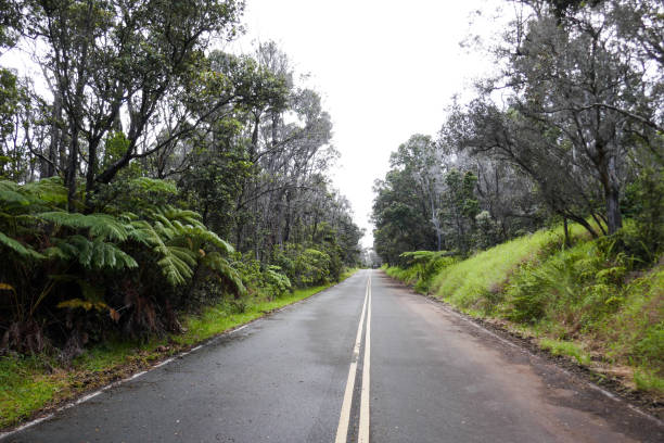 istock Hawaii Volcanoes National Park, USA 1132361495