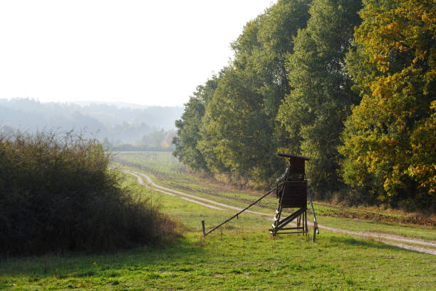 istock hunting blind in autumn 1132362196