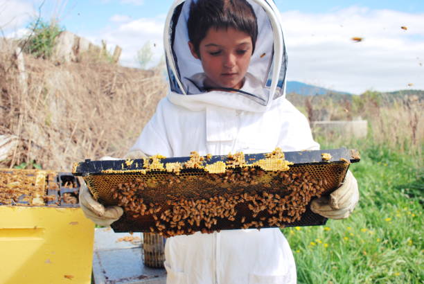 istock Child in a Bee Suit hold Honeycomb Frame from Beehive 1132365817