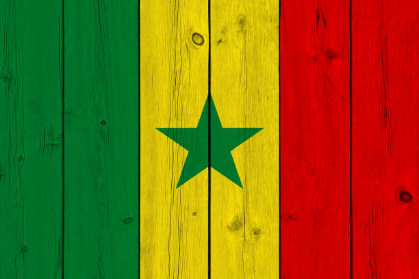 istock Senegal flag painted on old wood plank 1132365843