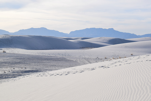 Great wave-like dunes of gypsum sand have created the world's largest gypsum dunefield.