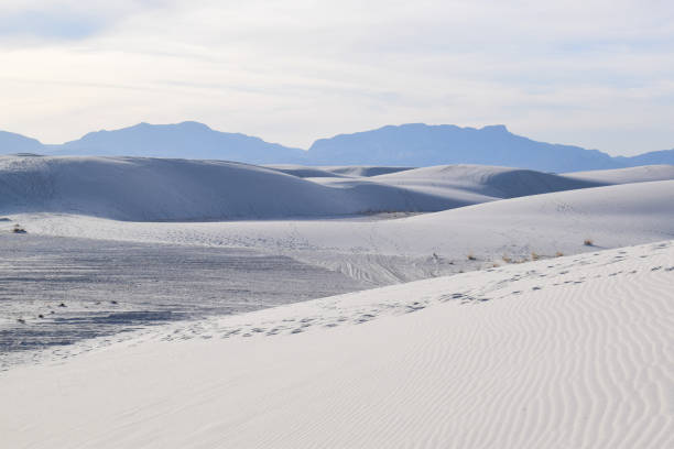 amazing white sands desert w: nowy meksyk, stany zjednoczone - desert new mexico sand white sands national monument zdjęcia i obrazy z banku zdjęć