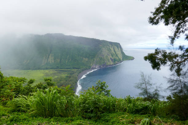 istock Waipio Valley, Hawaii, USA 1132367835