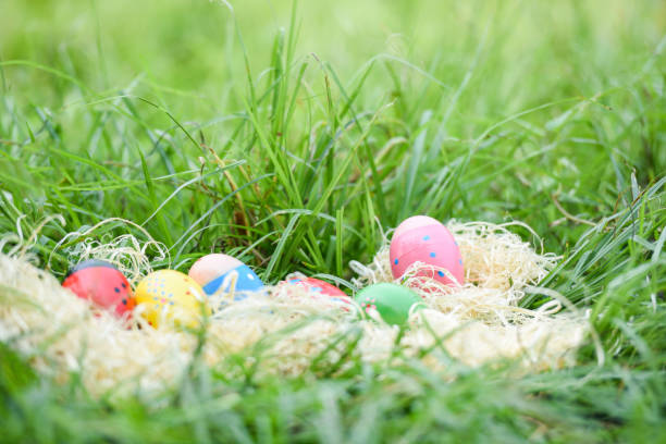 istock Easter eggs hunt in the nest on green grass meadow 1132369070