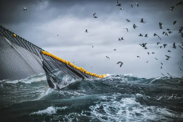 Photo of Fish boat vessel fishing in a rough sea