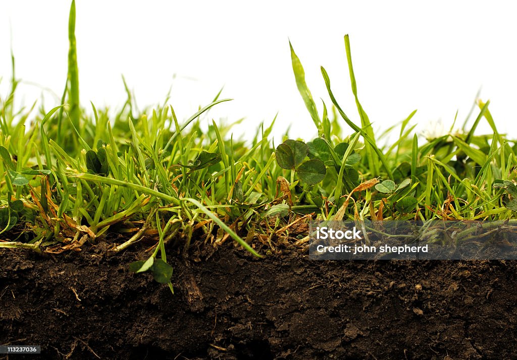 Querschnitt der Garten Rasen mit weißen top - Lizenzfrei Erdreich Stock-Foto