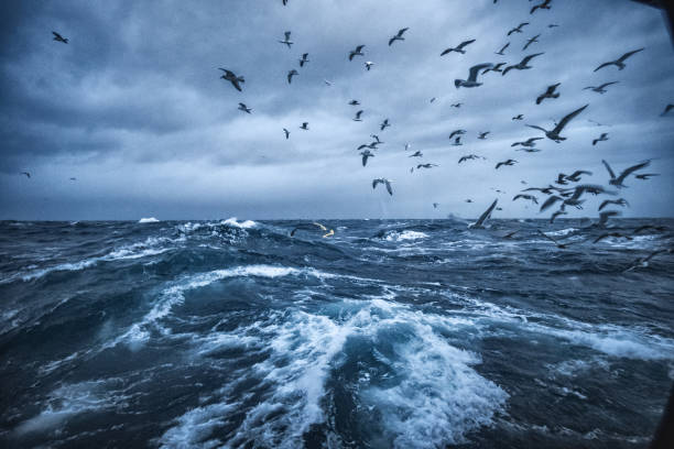istock Out in a rough sea, waves crashing 1132370370
