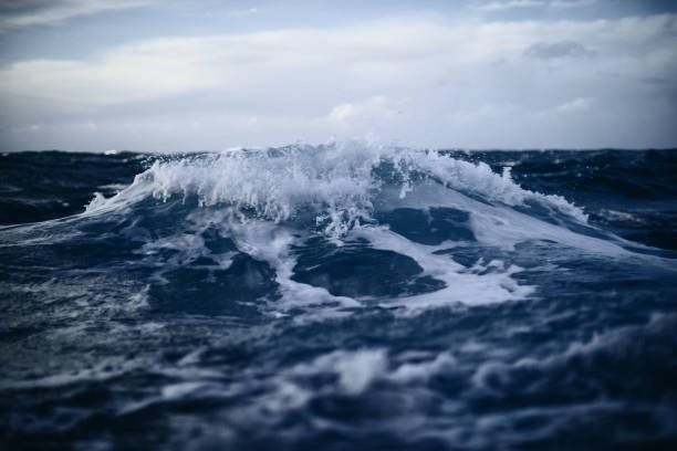 Out in a rough sea