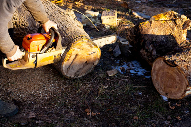 istock A man is sawing firewood 1132377468