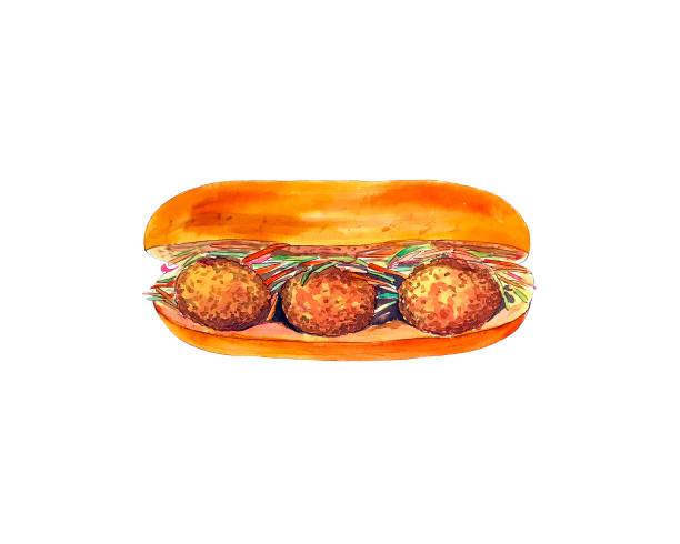 Watercolor meatball sandwich isolated on white background. Watercolor sandwich isolated on white background. Vietnamese crusty fast food banh mi. Hand drawn asian snack with bread, meat balls, carrot, onion, cucumber. shredded chicken stock illustrations