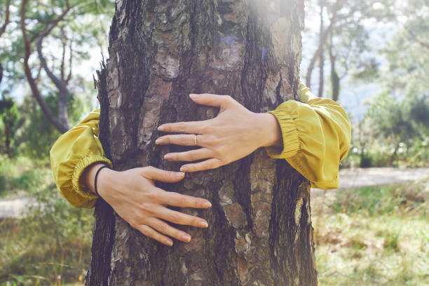 I Love Nature Huging a tree hugging tree stock pictures, royalty-free photos & images