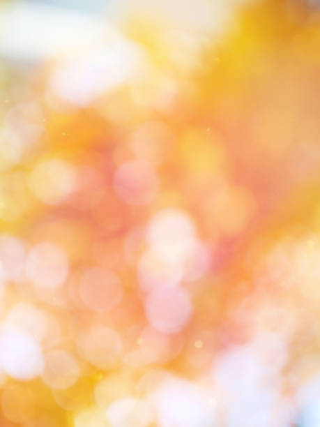 Leaf bokeh in the forest, missed focus Shoot outdoors 밝은 빛 stock pictures, royalty-free photos & images