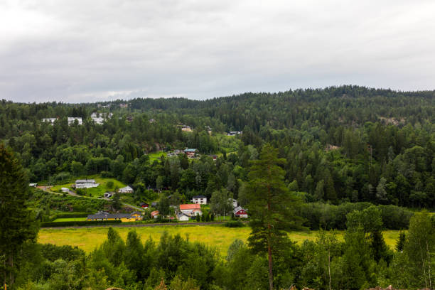 istock Rural scene with houses and forests in Norway 1132381783