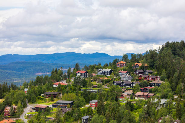 istock Residential area in Holmenkollen, Oslo 1132381785