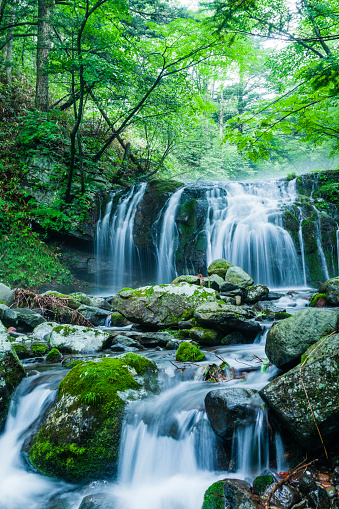 waterfalls and mountain stream in the forest