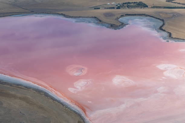 istock Lake Weering, Victoria, Australia 1132383776