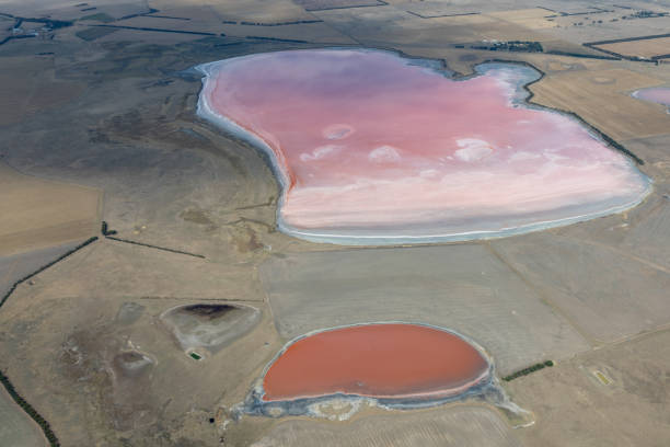 istock Lake Weering, Victoria, Australia 1132385146