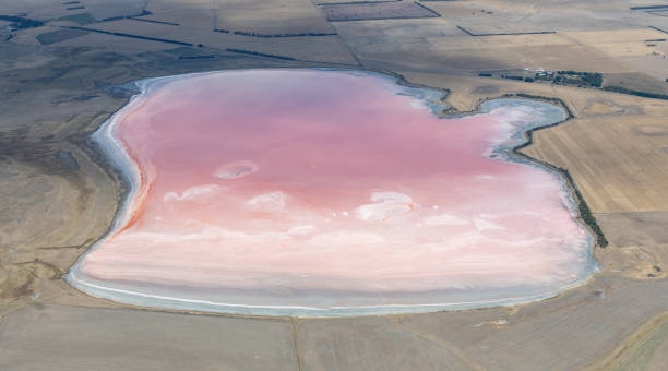 istock Lake Weering, Victoria, Australia 1132386396