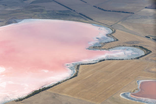 istock Lake Weering, Victoria, Australia 1132386978