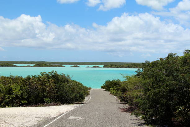 Road to the ocean in Turks and Caicos Providenciales island providenciales stock pictures, royalty-free photos & images