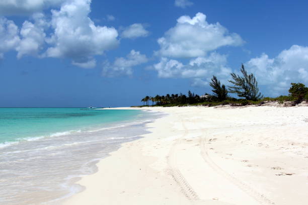 istock Grace Bay beach in Turks and Caicos 1132387037