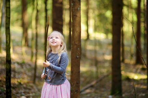 Cute little girl having fun during forest hike on beautiful spring day. Active family leisure with kids.