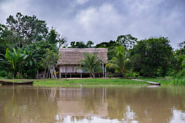 istock Traditional indigenous house by the amazon river in the rainforest 1132390966