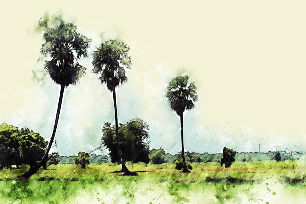 istock Beautiful Rice fields and tree watercolor illustration painting background. 1132391814