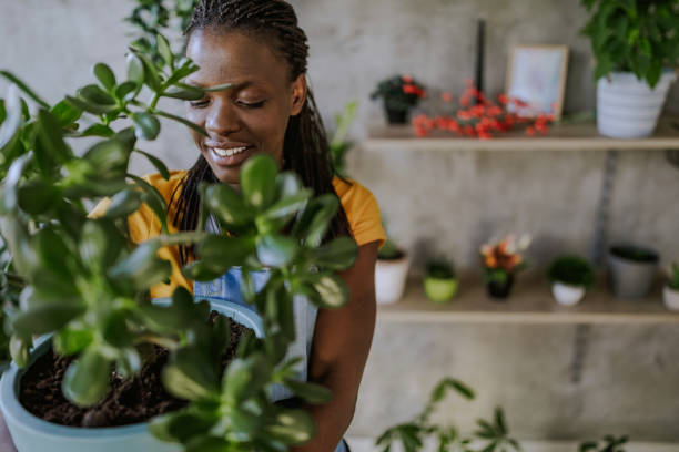 istock Florist Woman Seedling Plants 1132392140