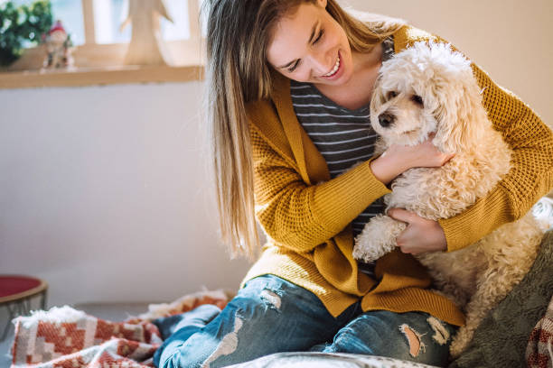 istock Young Woman Playing With Pet at Home 1132392221