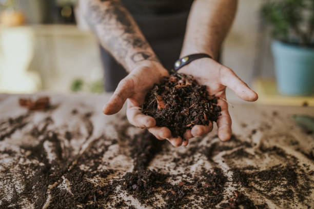 istock Soil Is Most Important for Planting 1132392256