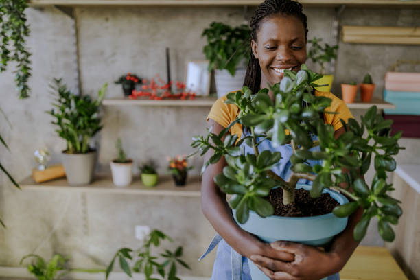 istock Florist Woman Seedling Plants 1132392900