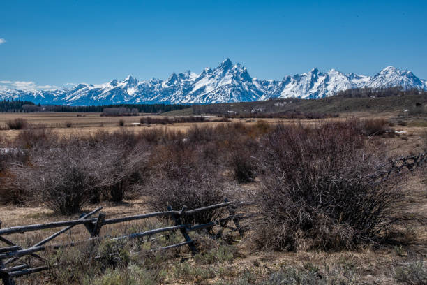 istock Views of the Teton range on the Buffalo river 1132395000