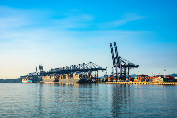 istock Industrial port container crane with a cruise ship 1132400727