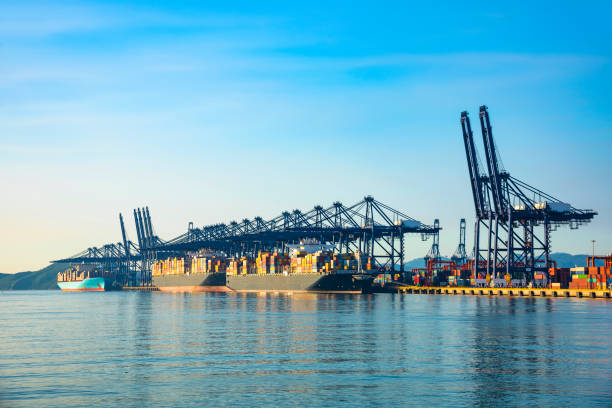 istock Industrial port container crane with a cruise ship 1132400838