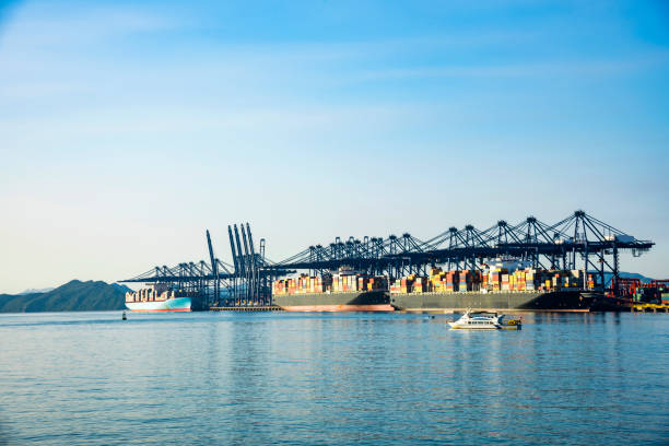 istock Industrial port container crane with a cruise ship 1132402162