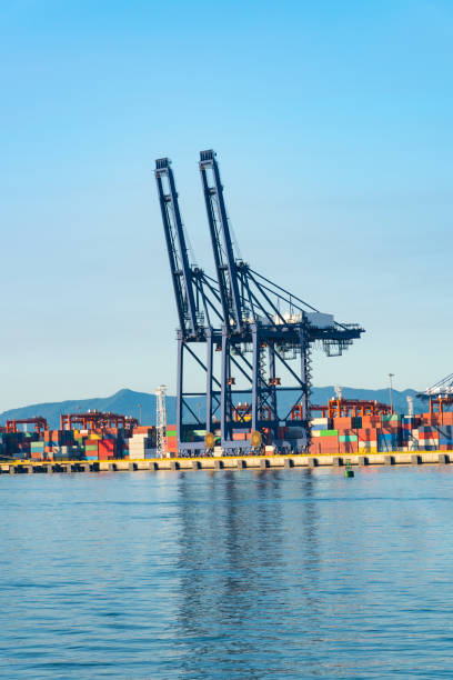 istock Industrial port container crane 1132402380