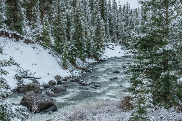 istock Scenes near Pebble Creek campground Yellowstone 1132403578