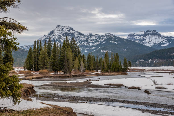 istock Scenes near Pebble Creek campground Yellowstone 1132404933