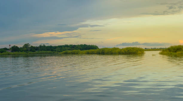 istock Sunset over Bueng Boraphet Swamp 1132409075