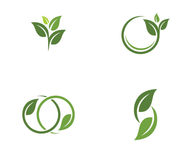 ilustraciones, imágenes clip art, dibujos animados e iconos de stock de diseño de logotipo vectorial de hojas de árbol - leaves
