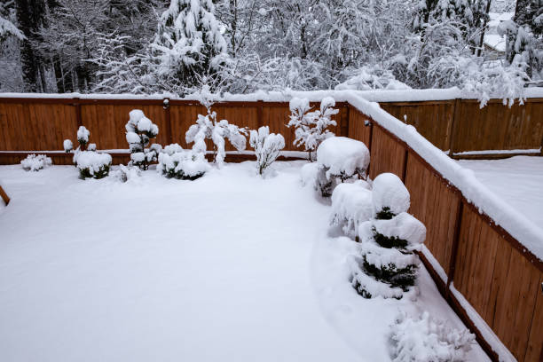 istock Playground with 8 inches of Snow 1132419443