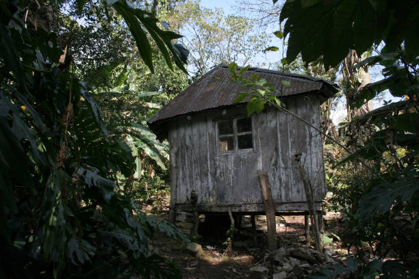 istock Little cabin at the jungle 1132420242