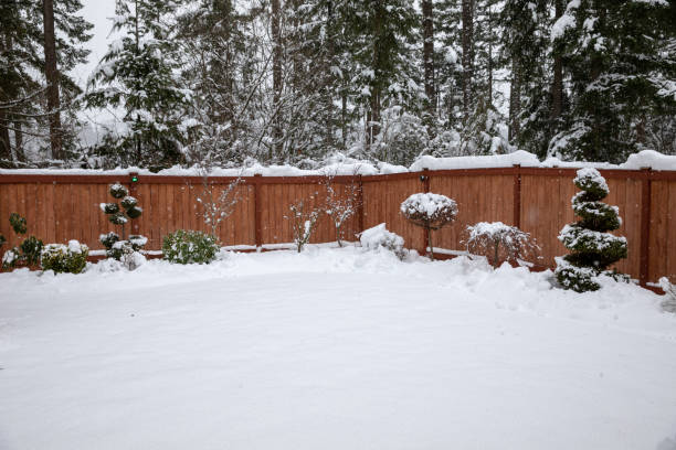 istock Backyard with Trees and Lawn with  Snow After a Record Breaking Snowstorm in Washington 1132420547