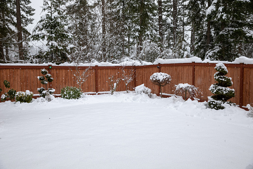 Record Snowstorm in Puyallup Washington in February 9th 2019..