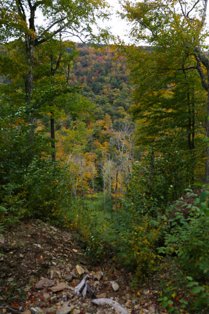 istock A Valley in the Mountains of Vermont 1132421199