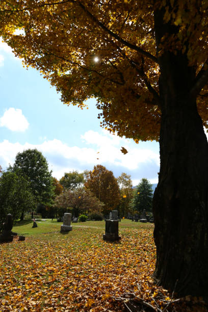 istock Cemetery in Vermont in the Fall 1132421220
