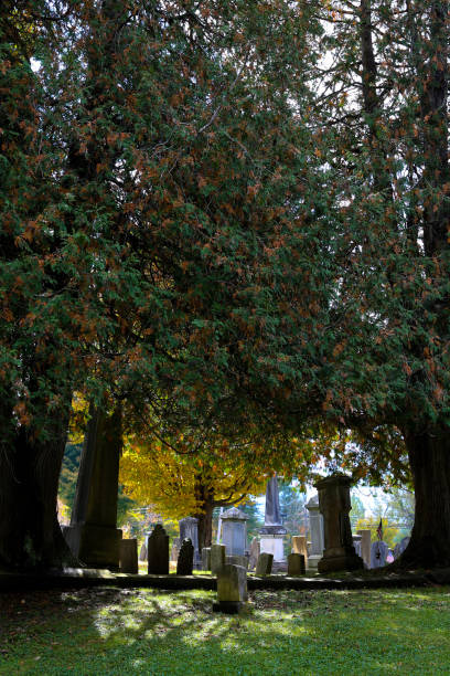 istock Cemetery in Arlington, Vermont in the Fall 1132421236