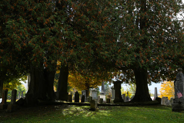 istock Cemetery in Arlington, Vermont in the Fall 1132421249